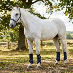 HORSE SAFETY BOOT/GUARD (4 Pcs Set)
