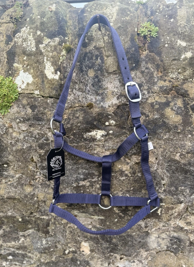 PLAIN HEAD COLLAR ECONOMICAL WITH 2M COTTON LEAD ROPE - Image 8