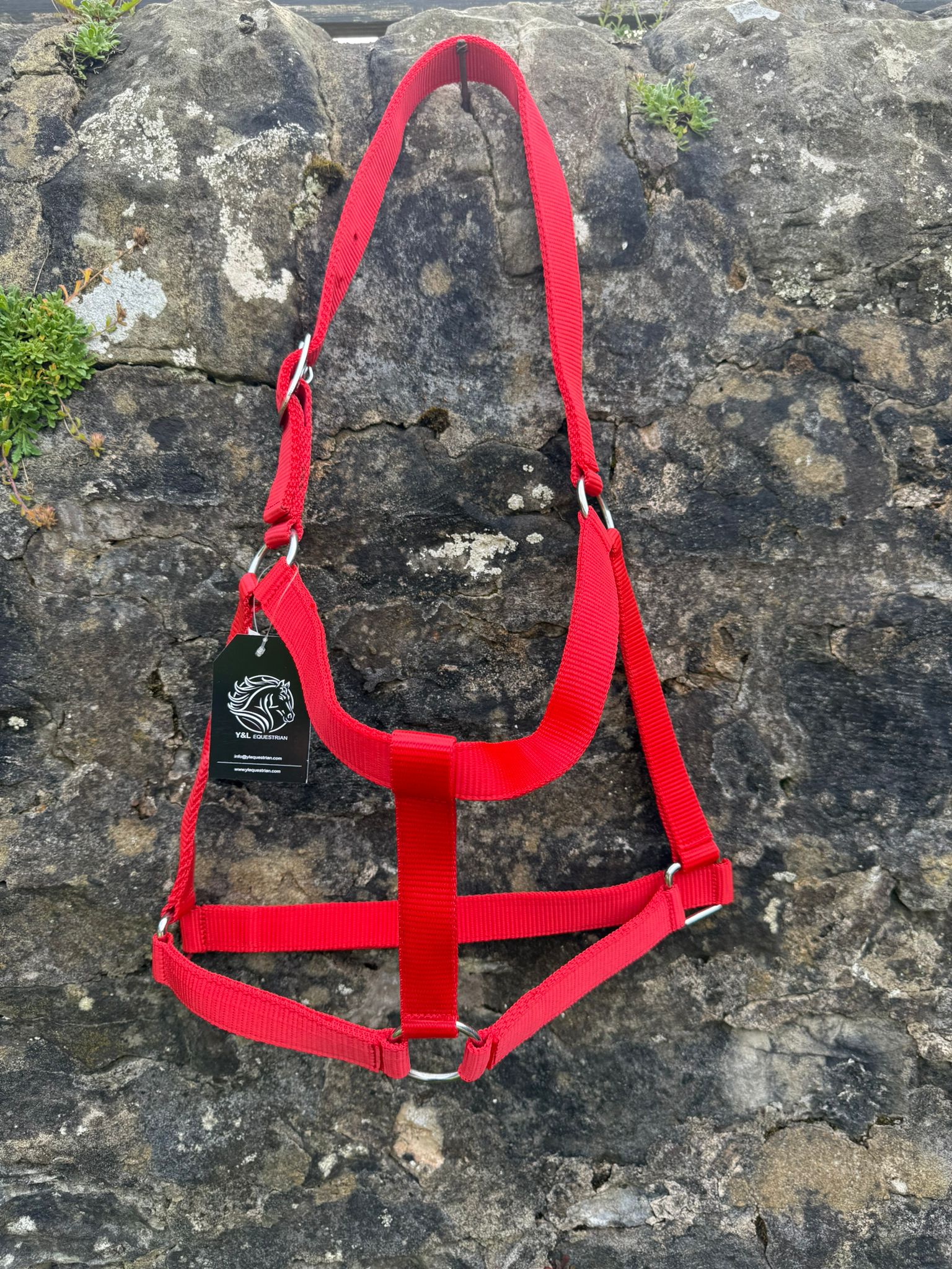 PLAIN HEAD COLLAR ECONOMICAL WITH 2M COTTON LEAD ROPE - Image 6