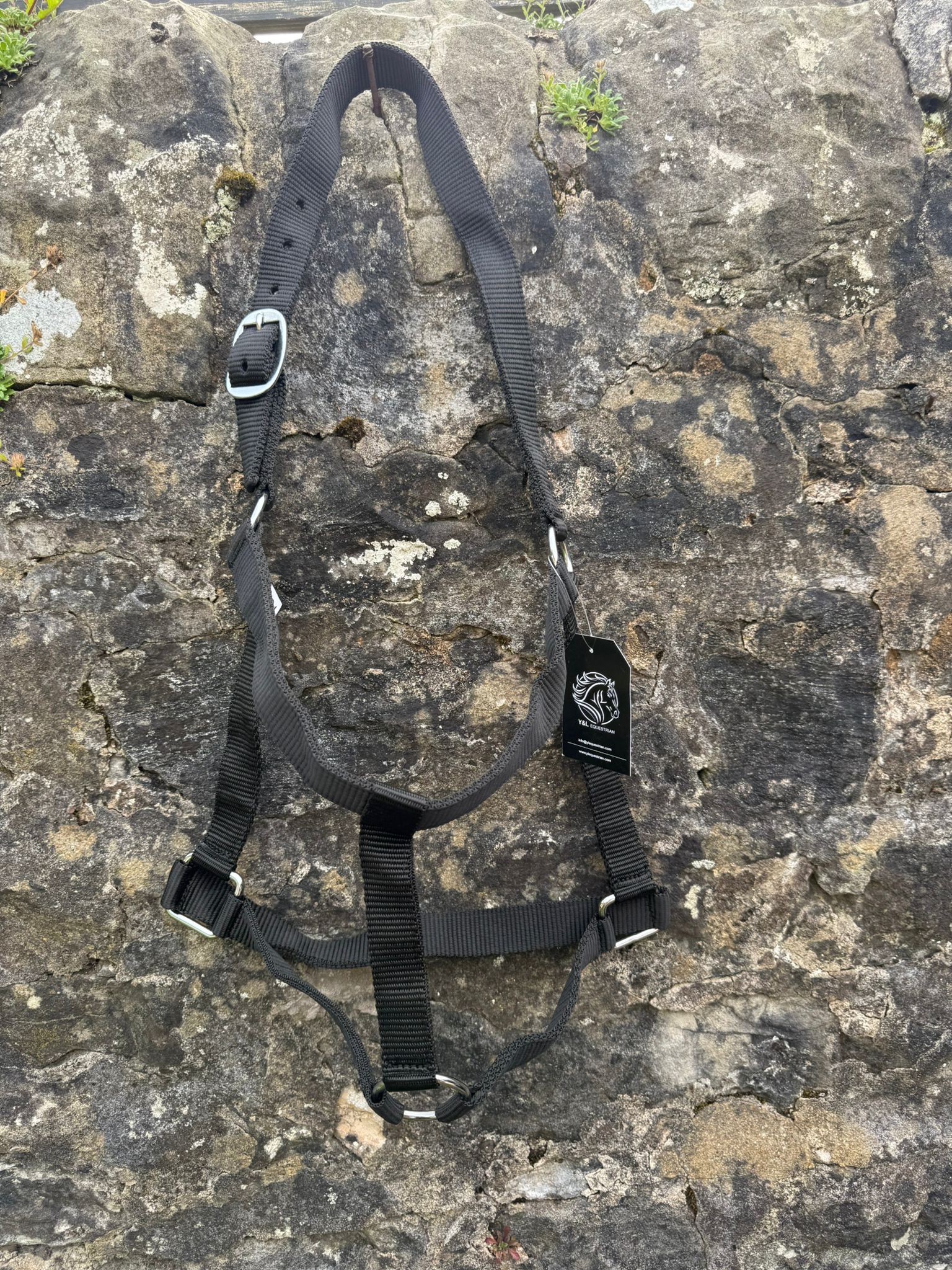PLAIN HEAD COLLAR ECONOMICAL WITH 2M COTTON LEAD ROPE - Image 7