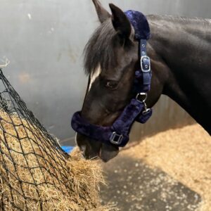 HEY NET– 2 Inches Hole